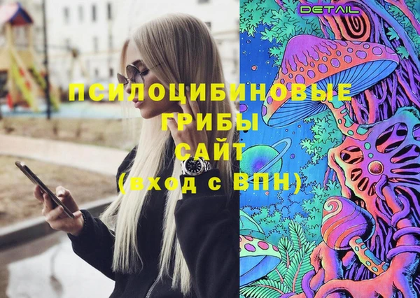 мдма Медвежьегорск