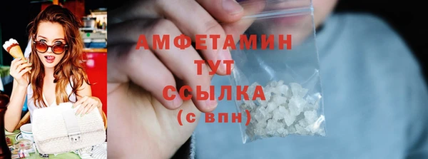 прущие грибы Медногорск