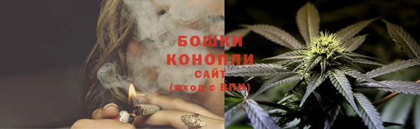прущие грибы Медногорск