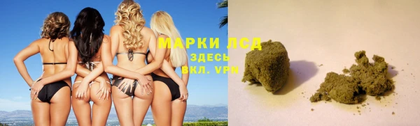 прущие грибы Медногорск