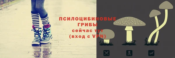 прущая мука Михайловск