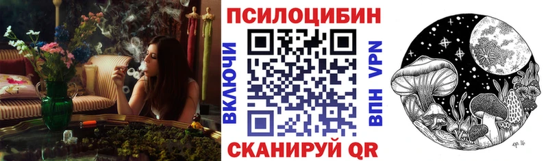 Псилоцибиновые грибы Magic Shrooms  наркота  Велиж 